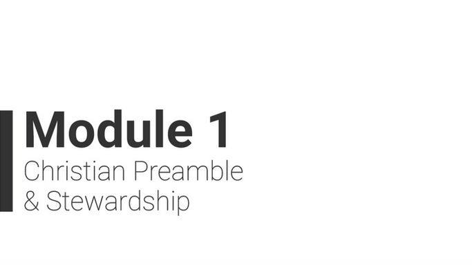 1 Module